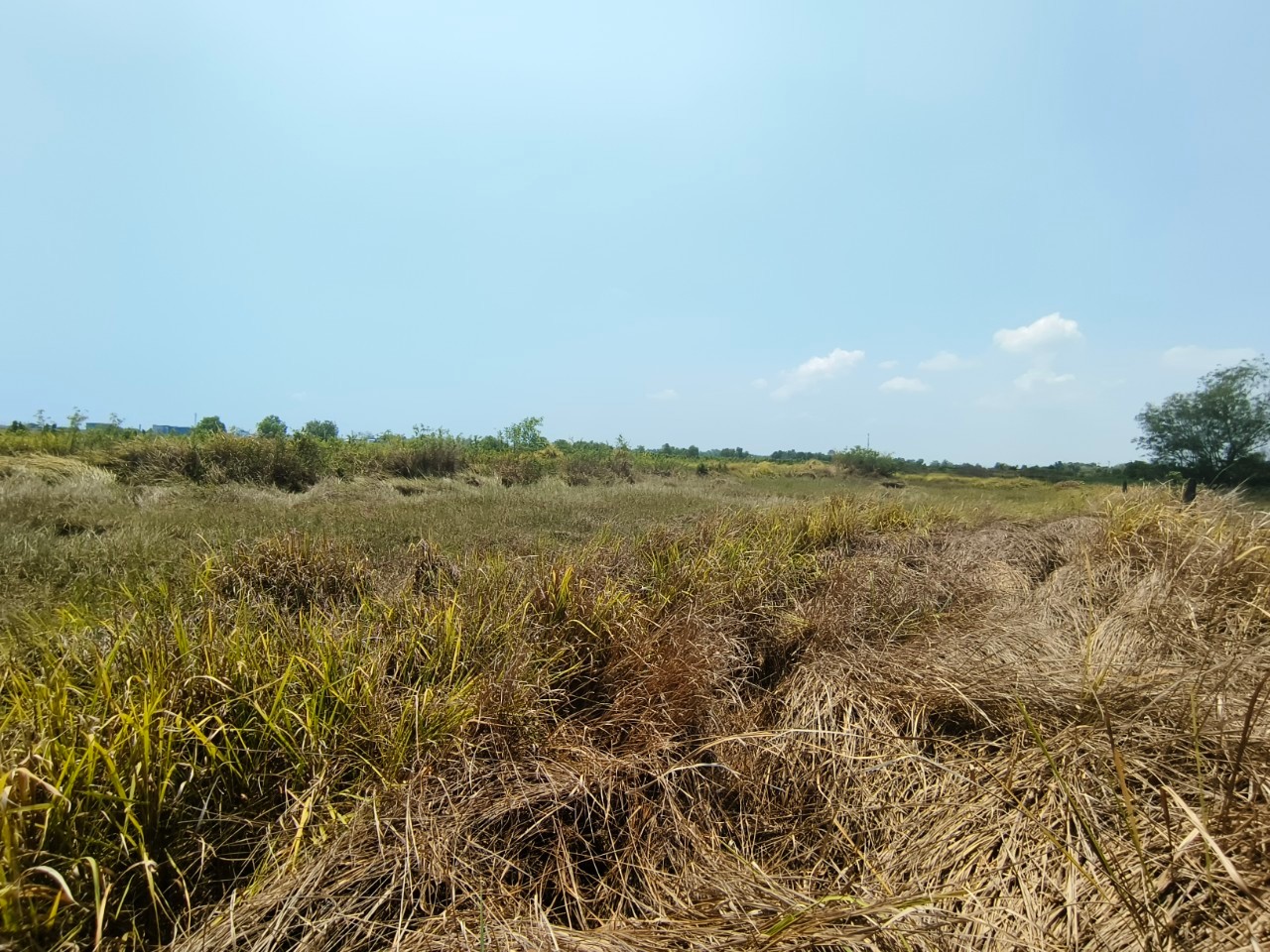 ขายที่ดิน105ตารางวา ซอยบ้านสวนอากง ตำบลองครักษ์ อำเภอองครักษ์ จังหวัดนครนายก